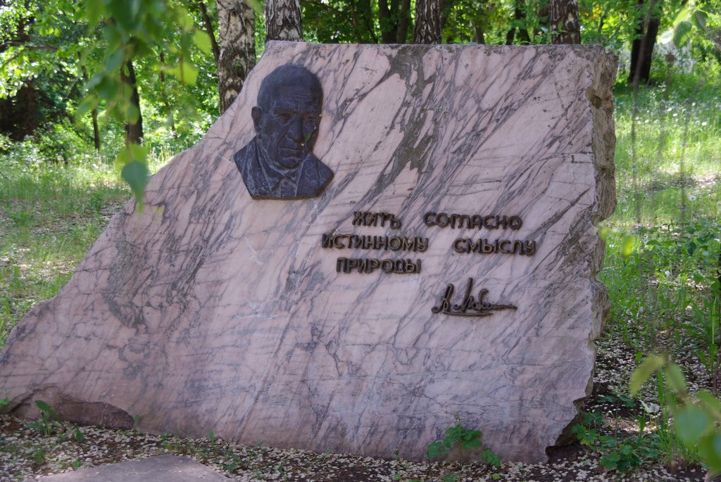 Памятник в Тольятти, Россия – фотографии России