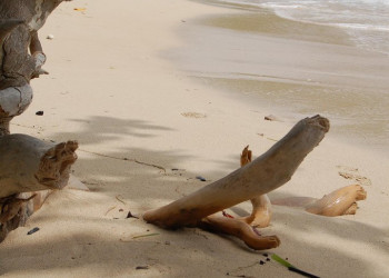 Пляж в Порт Антонио, Ямайка. Фото 13 – фотографии Ямайки