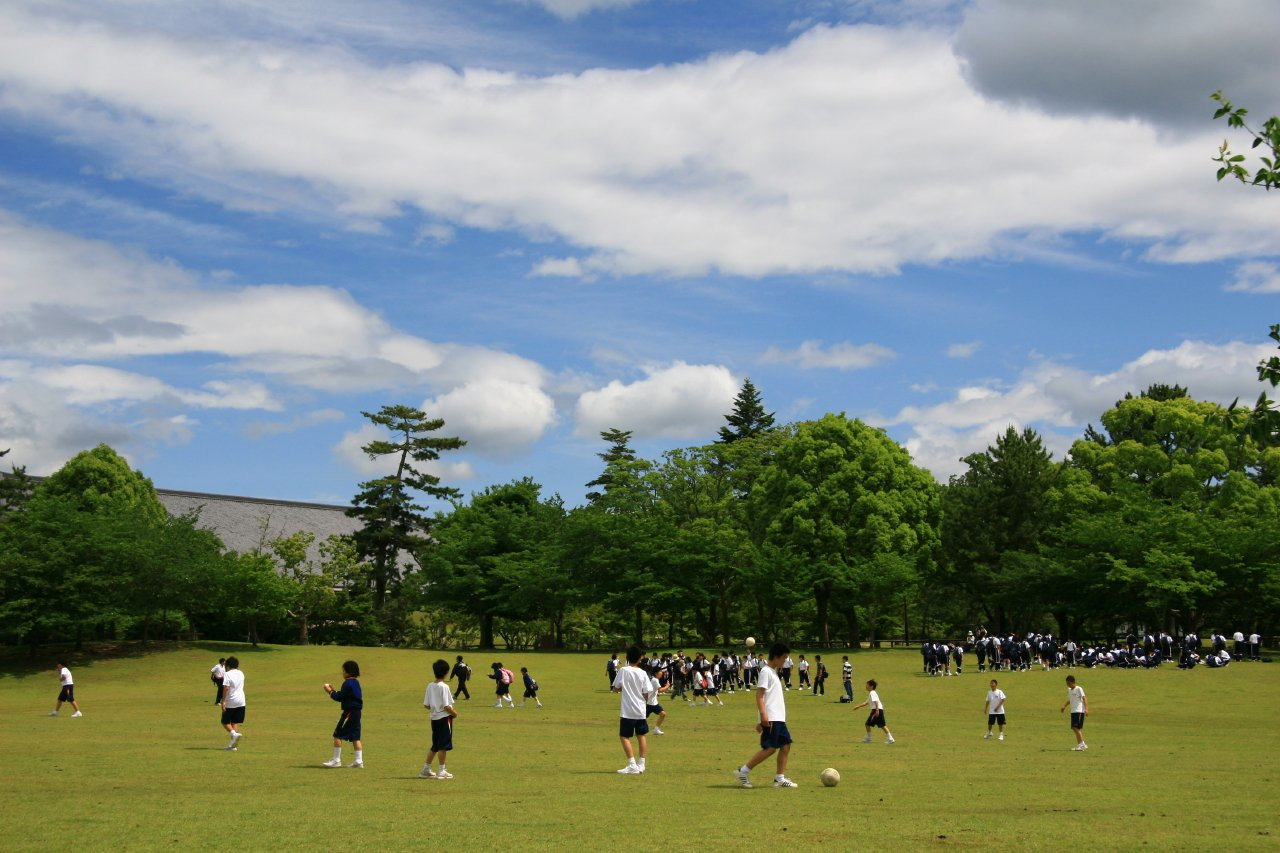 Nara – фотографии Японии