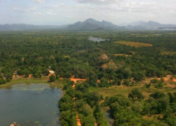 Бентота, Шри-Ланка, фото № 50660 – фотографии Шри-Ланки