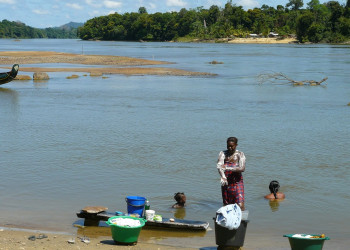Суринам, фото № 4657 – фотографии Суринама