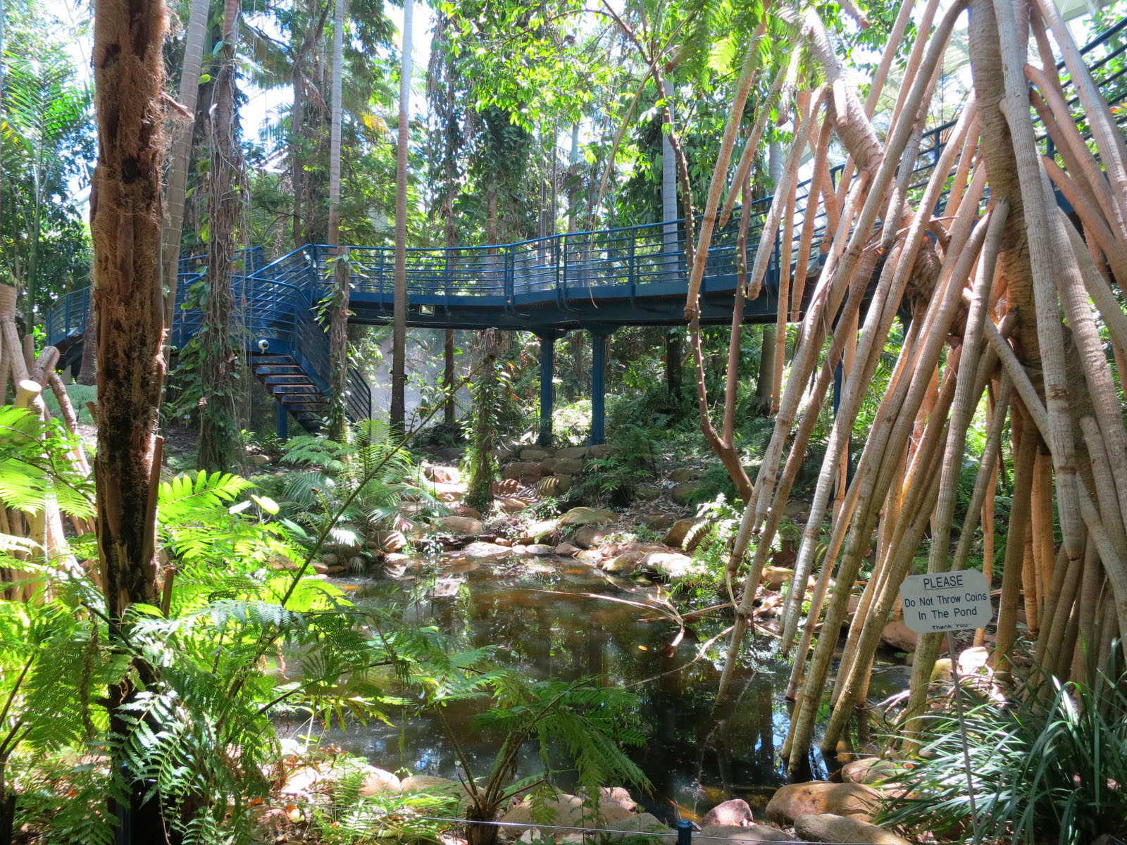 Ботанический сад, Аделаида. Фото 1 – фотографии Австралии