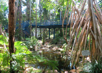 Ботанический сад, Аделаида. Фото 1 – фотографии Австралии