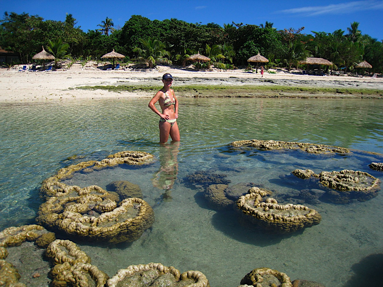 Вануа Леву группа островов, Фиджи, фото № 49399 – фотографии Фиджи