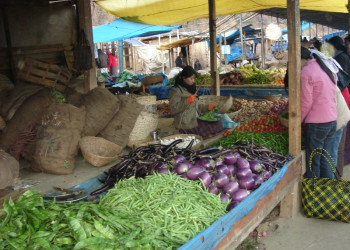 Тхимпху, Бутан, фото № 75829 – фотографии Бутана