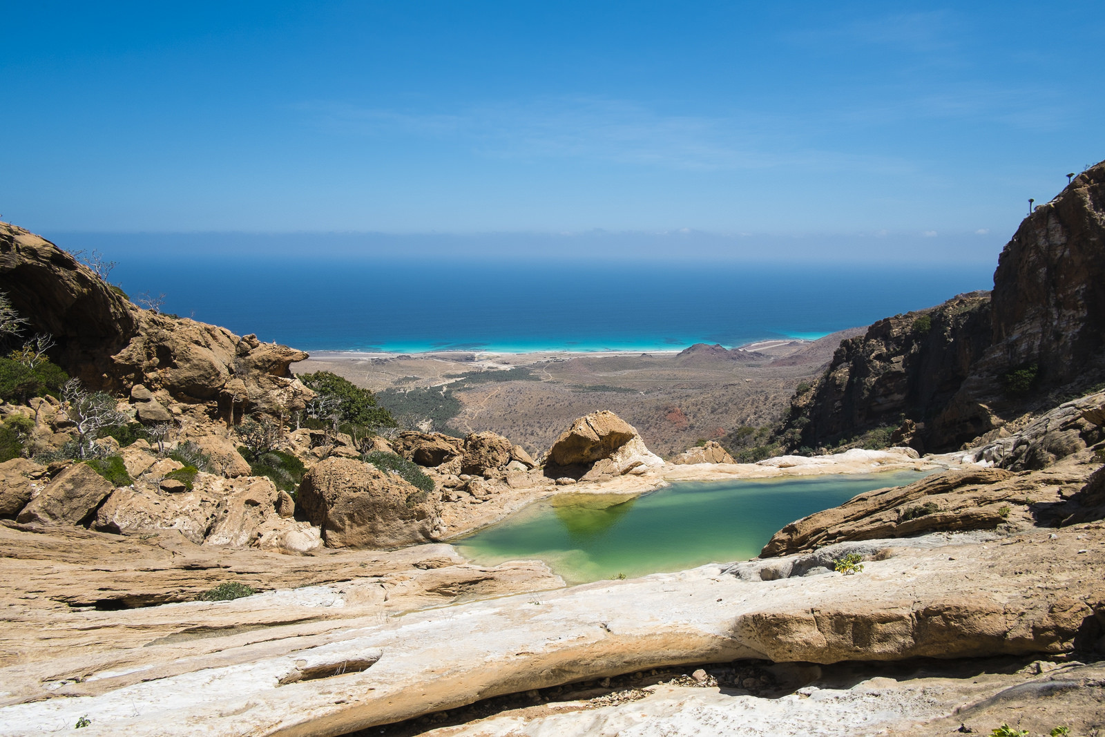 Остров Сокотра (Socotra), Йемен. Фото 11 – фотографии Йемена