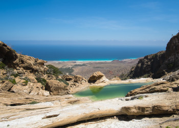 Остров Сокотра (Socotra), Йемен. Фото 11 – фотографии Йемена