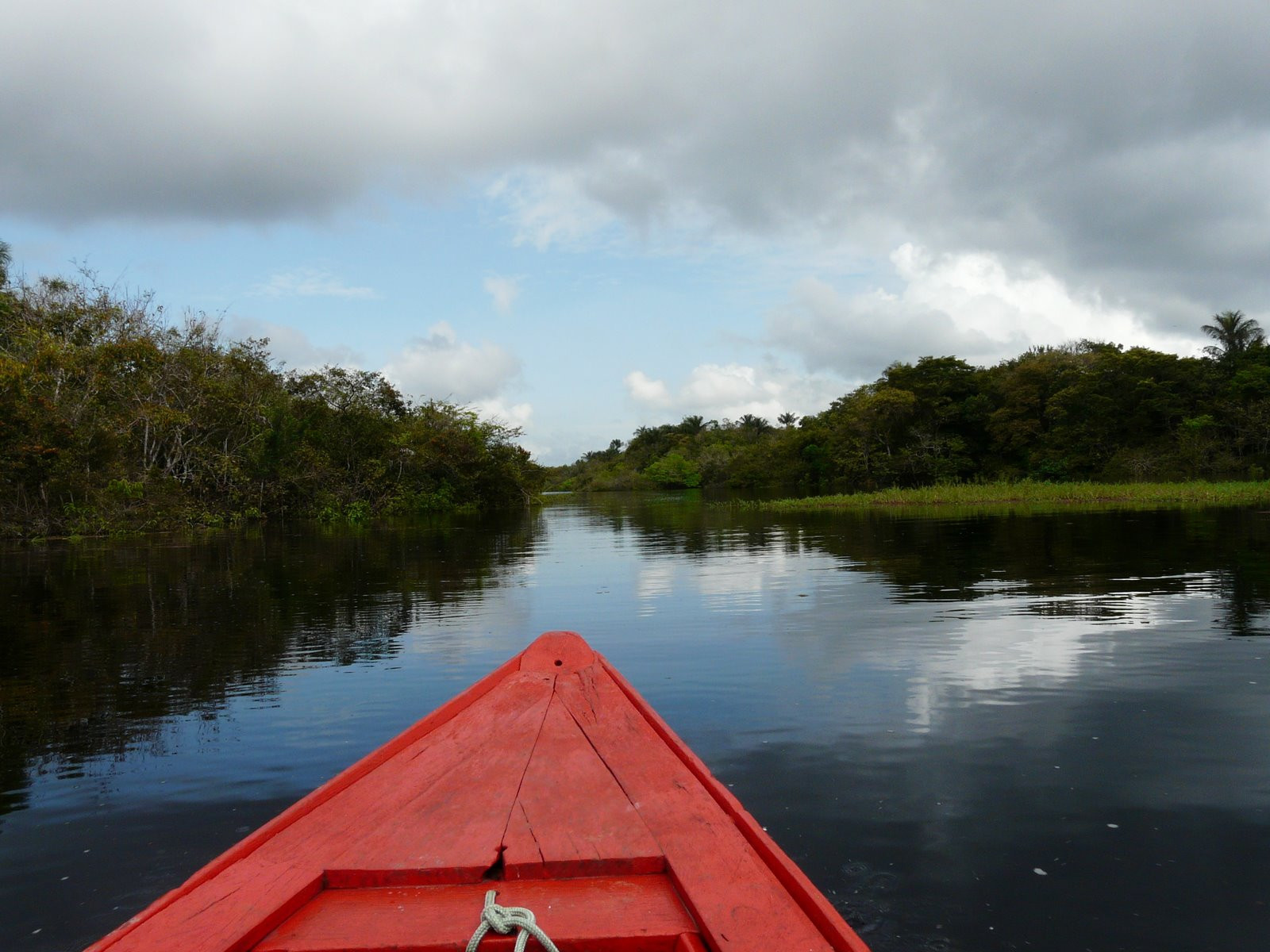 Амазонас штат, Бразилия, фото № 58806 – фотографии Бразилии