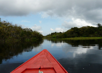 Амазонас штат, Бразилия, фото № 58806 – фотографии Бразилии