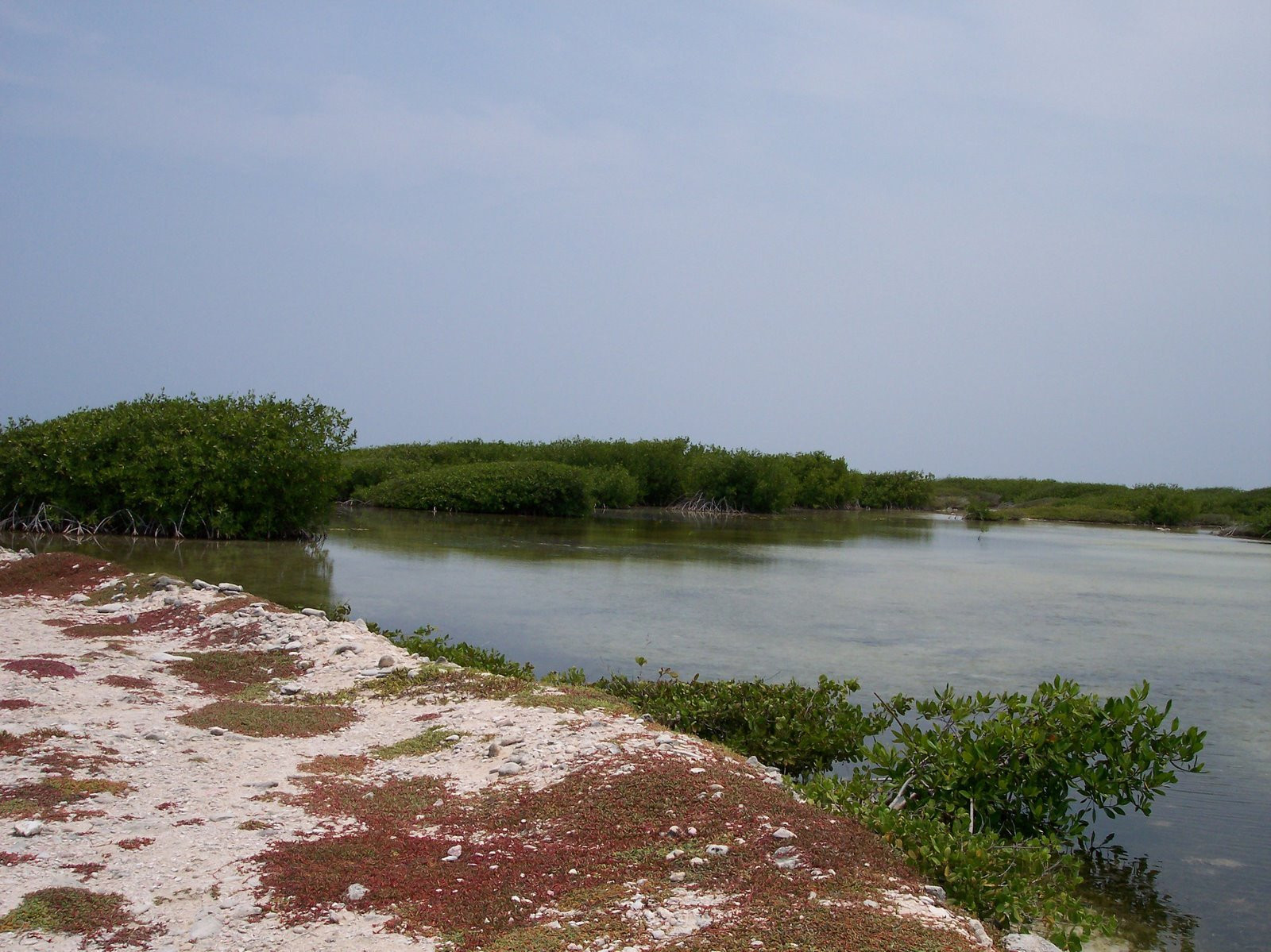 Бонайре остров, Карибские Нидерланды, фото № 76645 – фотографии Карибских Нидерландов