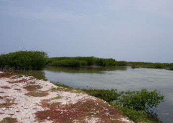 Бонайре остров, Карибские Нидерланды, фото № 76645 – фотографии Карибских Нидерландов