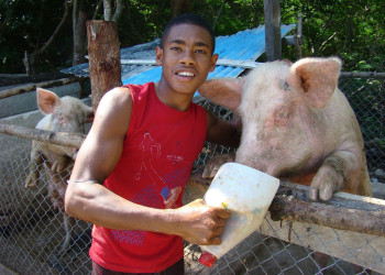 Навити остров, Ясава группа островов, Фиджи, фото № 50158 – фотографии Фиджи