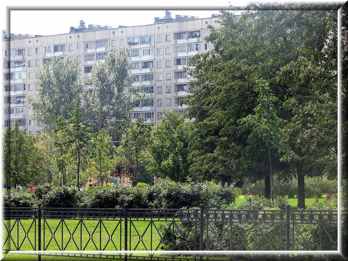 Дома в Колпино, Россия. Фото 7 – фотографии России