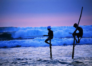 Велигама, Шри-Ланка, фото № 50864 – фотографии Шри-Ланки