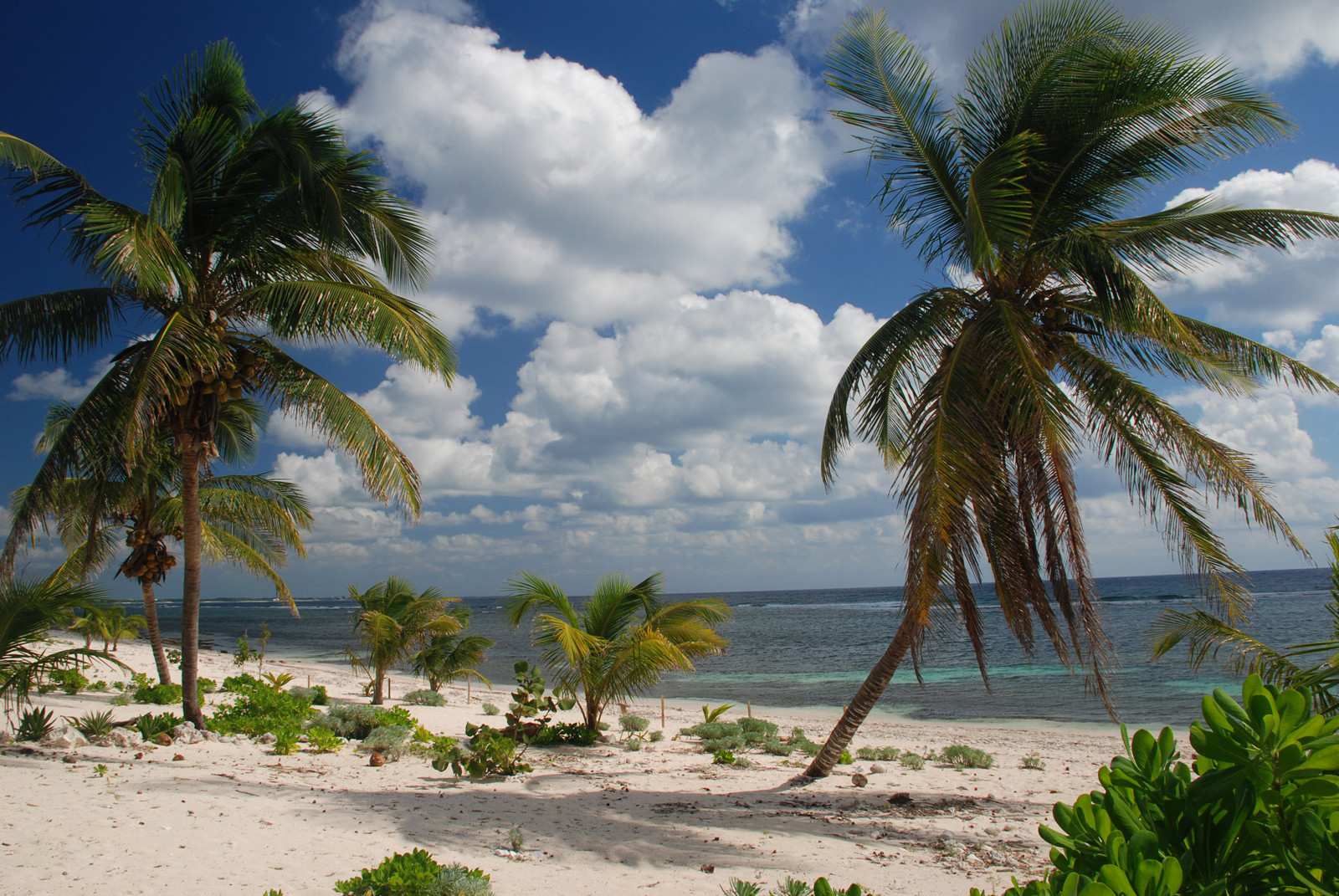 Пляжи на Гранд-Каймане – фотографии Каймановых островов