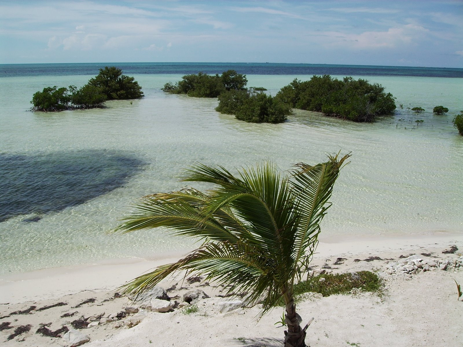 Остров Бимини, Багамские острова. Фото 1 – фотографии Багамских островов