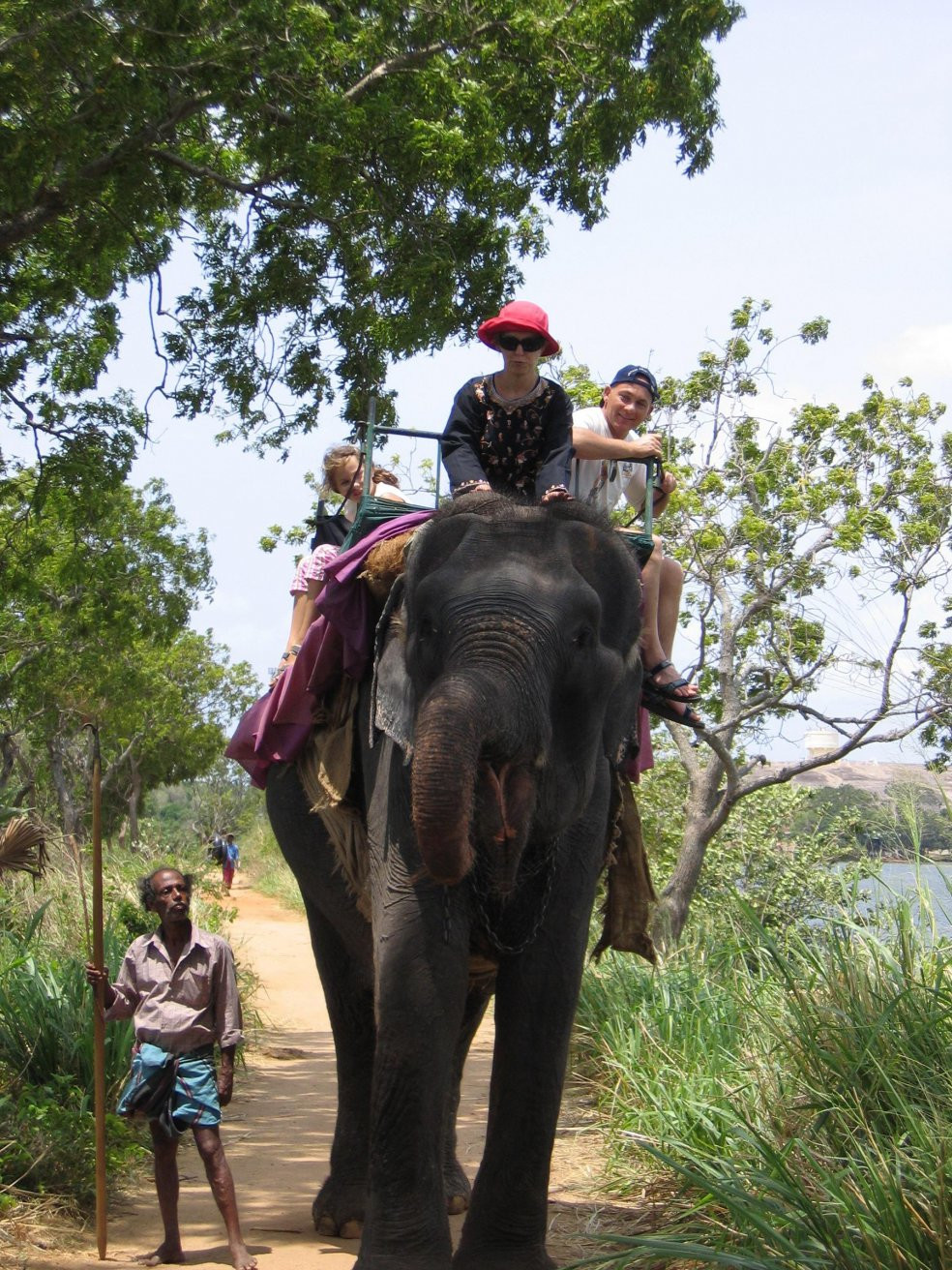 Хабарана, Шри-Ланка, фото № 52485 – фотографии Шри-Ланки