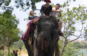 Хабарана, Шри-Ланка, фото № 52485 – фотографии Шри-Ланки