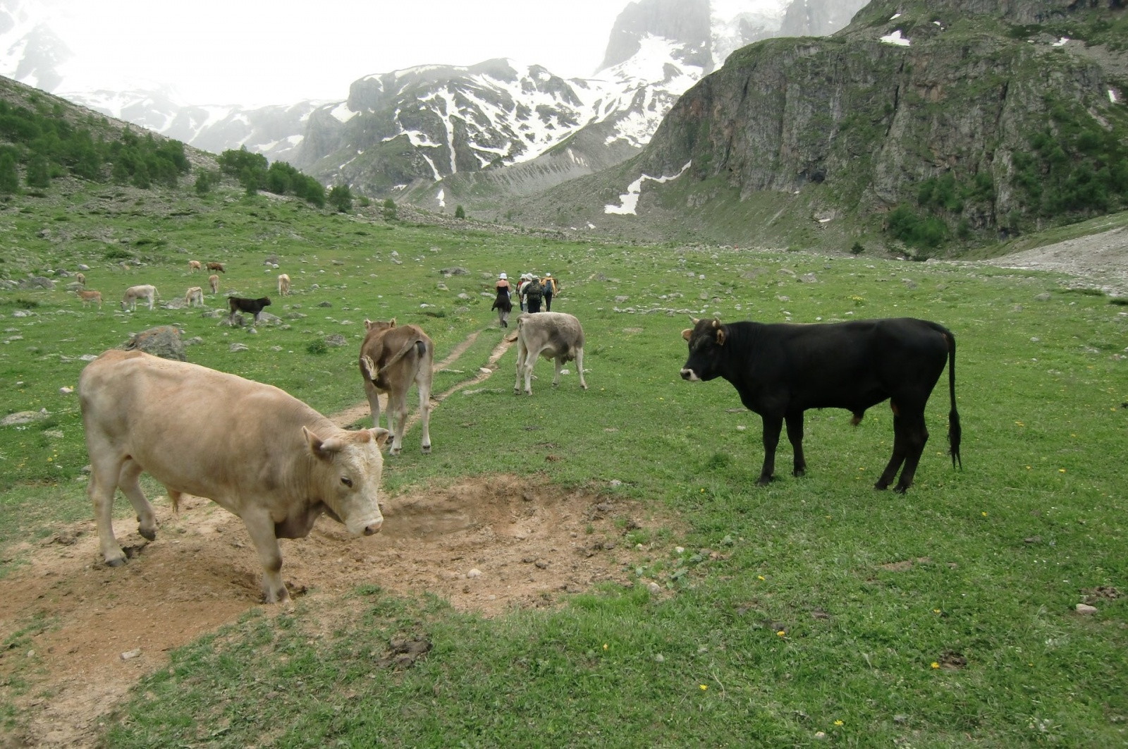 Природа в ущелье Адыр-Су, Кабардино-Балкария, Россия – фотографии России
