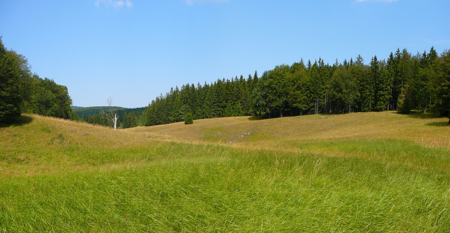 Бюкк Национальный Парк, Венгрия, фото № 70073 – фотографии Венгрии