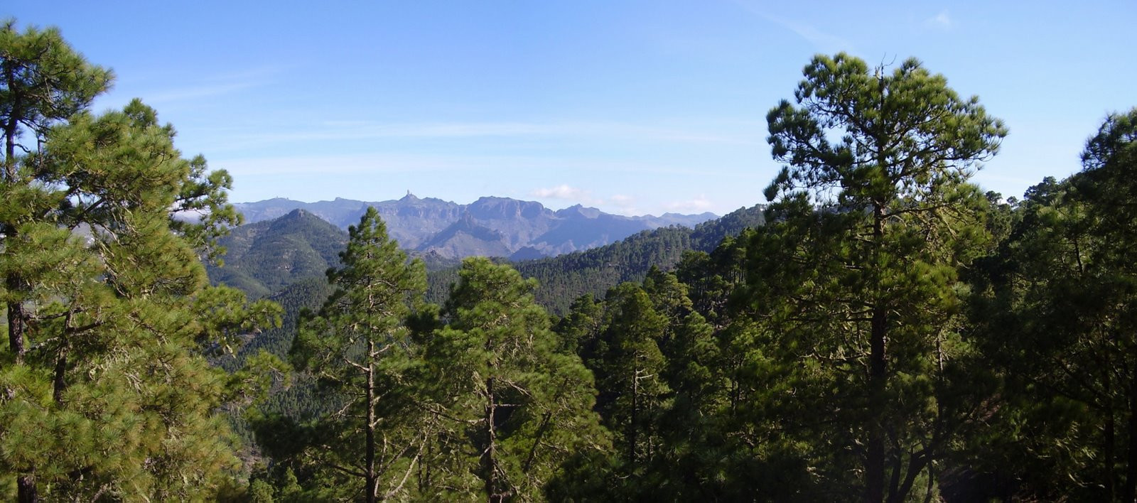 Гран-Канария остров, Канарские острова, фото № 31519 – фотографии Канарских островов