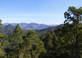 Гран-Канария остров, Канарские острова, фото № 31519 – фотографии Канарских островов