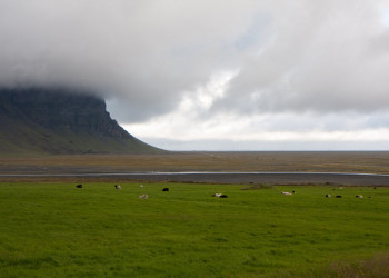 Исландия, фото № 4473 – фотографии Исландии