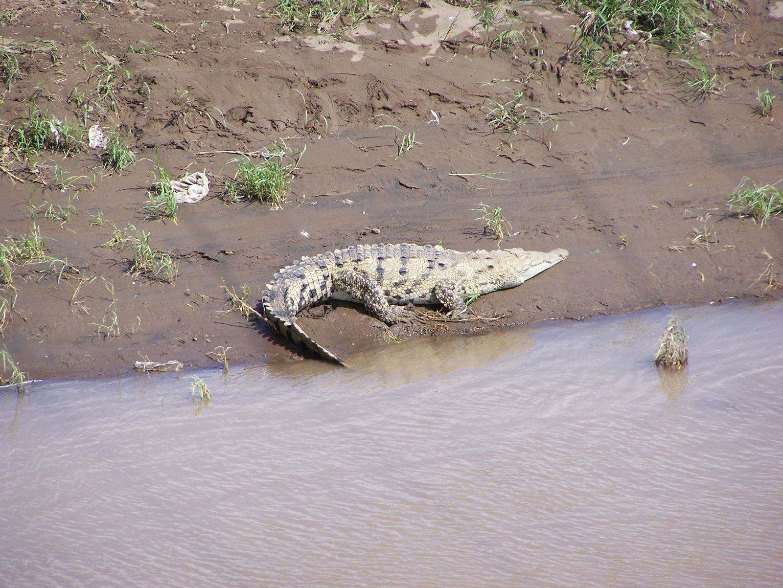 Мануэль Антонио Национальный Парк, Пунтаренас провинция, Коста-Рика, фото № 40644 – фотографии Коста-Рики