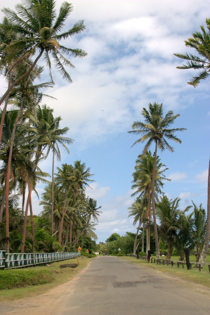 Нади, Вити Леву остров, Вити Леву группа островов, Фиджи, фото № 49528 – фотографии Фиджи