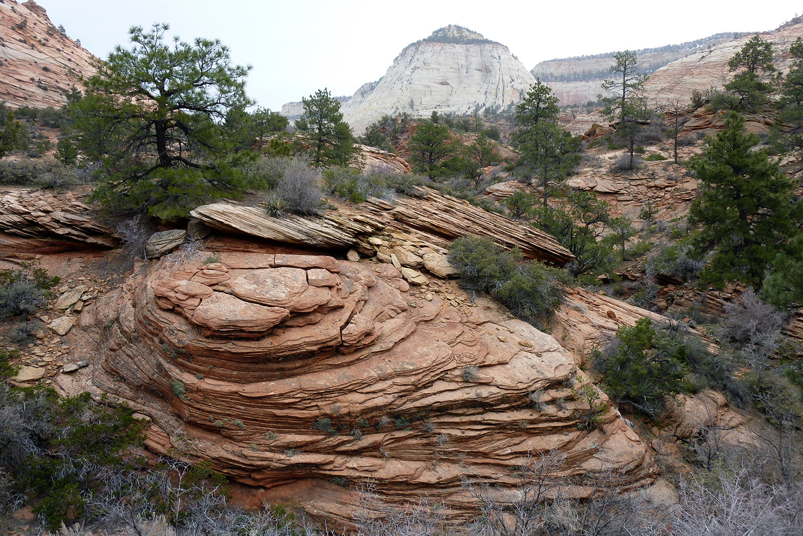 Национальный парк Зайон в США – фотографии США