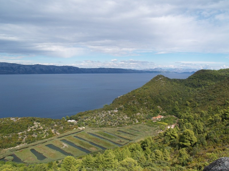 Берега на острове Млет, Хорватия. Фото 11 – фотографии Хорватии