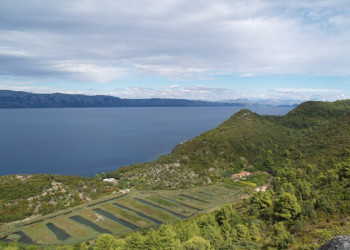 Берега на острове Млет, Хорватия. Фото 11 – фотографии Хорватии