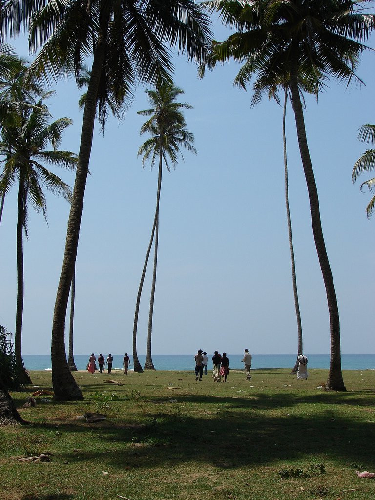 Индурува, Шри-Ланка, фото № 51159 – фотографии Шри-Ланки