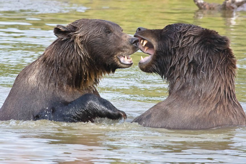 Аляска штат, США, фото № 67699 – фотографии США