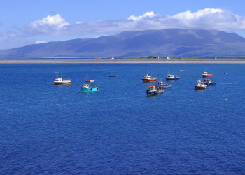Ирландия, фото № 2557 – фотографии Ирландии