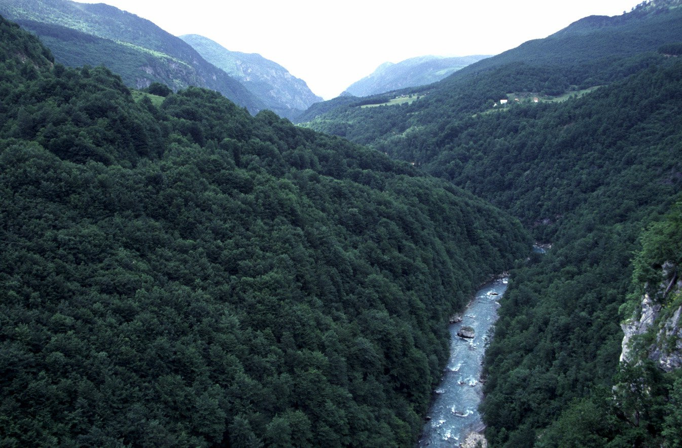 Тара Каньон – фотографии Черногории