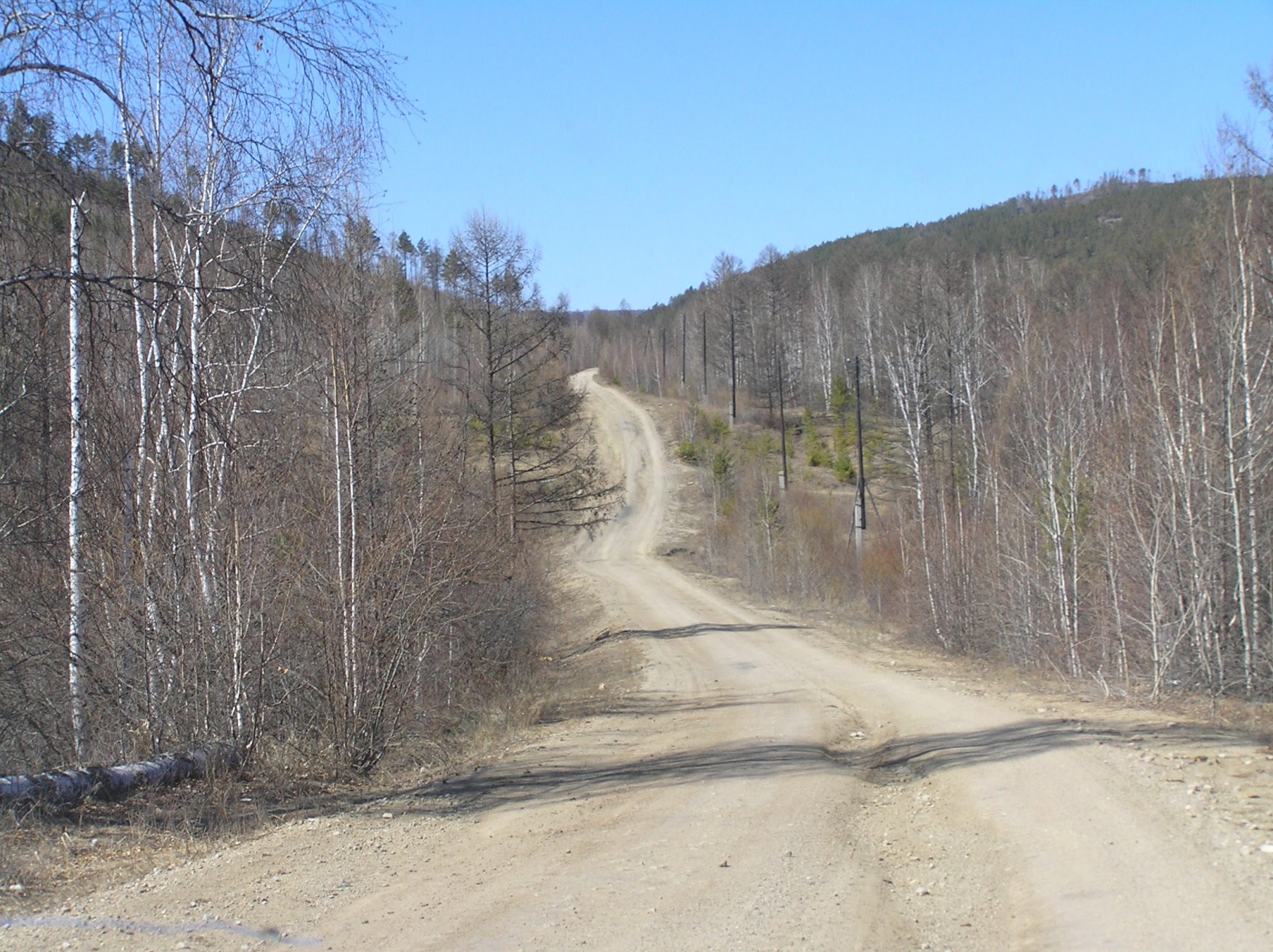 Природа в Дарасун, Россия. Фото 4 – фотографии России