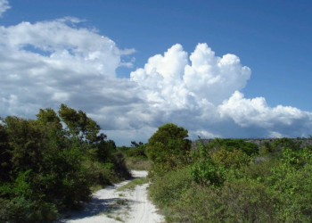 Бараона, Доминикана, фото № 30296 – фотографии Доминиканы