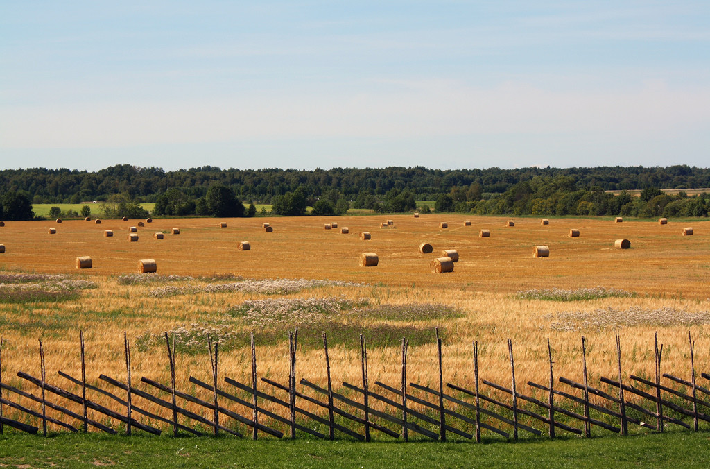 Поля на эстонском острове Сааремаа – фотографии Эстонии