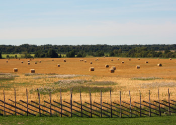 Поля на эстонском острове Сааремаа – фотографии Эстонии