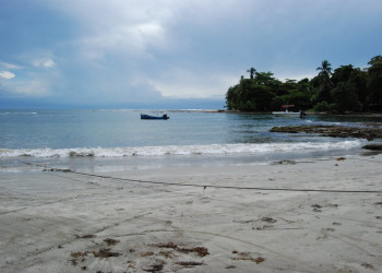 Пуэрто Вьехо, Лимон провинция, Коста-Рика, фото № 40202 – фотографии Коста-Рики