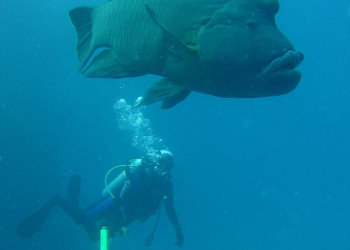 Сафага, Египет, фото № 35391 – фотографии Египта