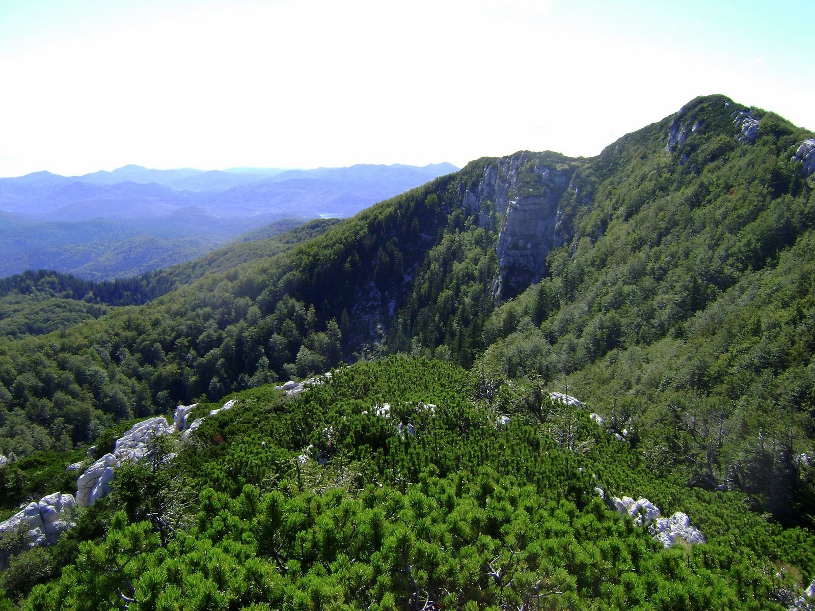 Природа в Рисняк, Хорватия. Фото 12 – фотографии Хорватии