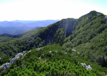 Природа в Рисняк, Хорватия. Фото 12 – фотографии Хорватии