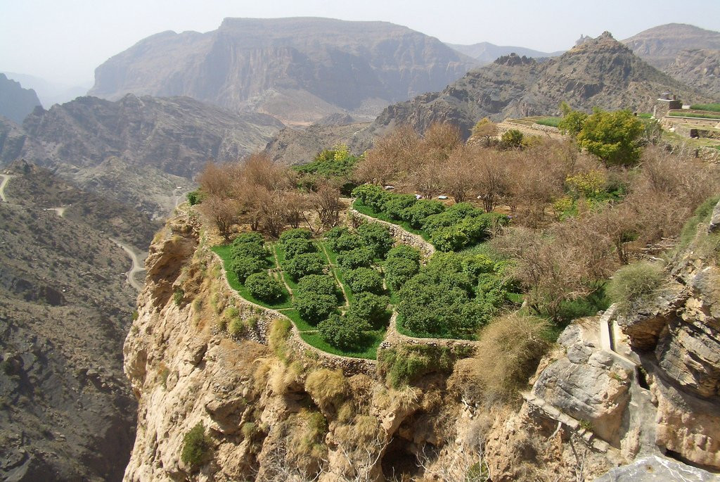 Оман, фото № 5245 – фотографии Омана