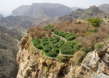 Оман, фото № 5245 – фотографии Омана