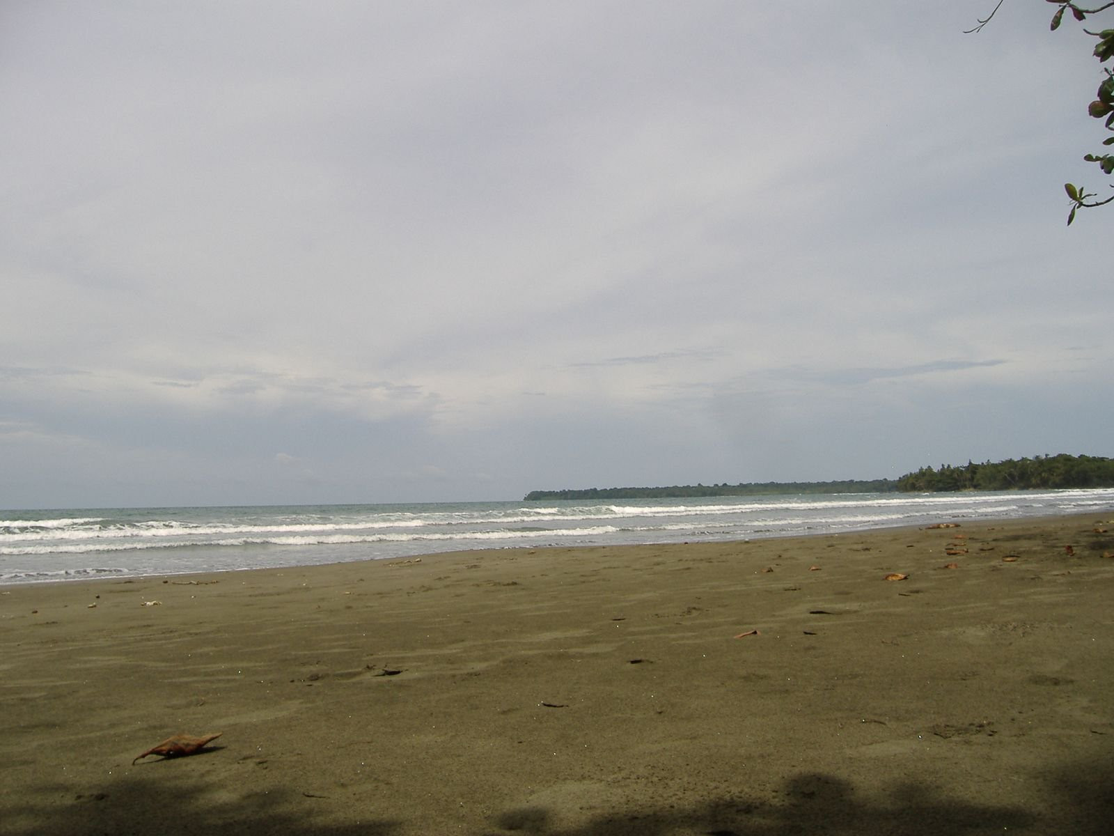 Кауита, Лимон провинция, Коста-Рика, фото № 40056 – фотографии Коста-Рики