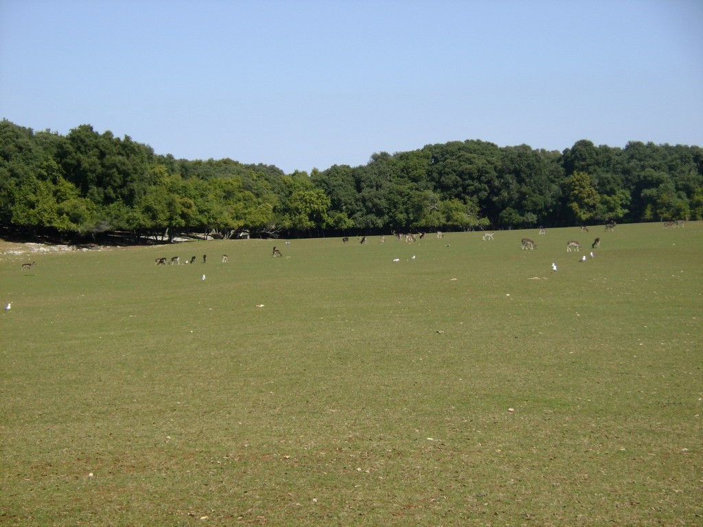 Национальный парк, Хорватия. Фото 6 – фотографии Хорватии