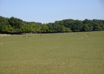 Национальный парк, Хорватия. Фото 6 – фотографии Хорватии