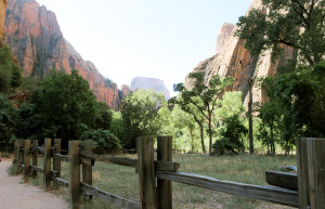 Национальный парк Зайон (Zion National Park) в США. Фото 5 – фотографии США
